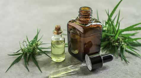 Know About the Uses of CBD Oil For Osteoporosis