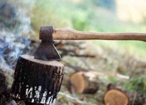 How to Chop Down a Tree With an Axe