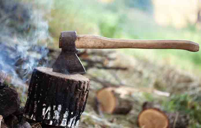 How to Chop Down a Tree With an Axe