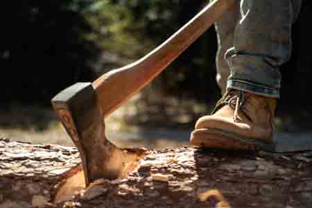 How to safely chop down a tree with an axe