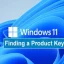 Facts You Need to Know About Windows Activation Keys