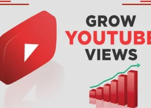 How to Safely Buy Youtube Views from Online Platform?
