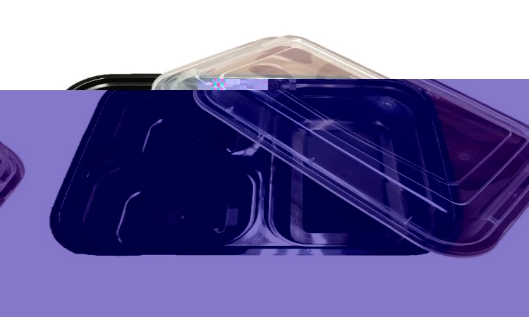 Can a China Manufacturer Customize Thermoforming Molds?