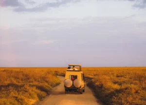 What Should You Pack for a Safari to Tanzania?