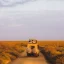 What Should You Pack for a Safari to Tanzania?