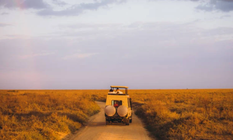 What Should You Pack for a Safari to Tanzania?
