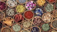 When Is the Best Time to Incorporate Plant Protein Extracts Into Your Diet?