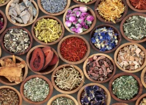 When Is the Best Time to Incorporate Plant Protein Extracts Into Your Diet?