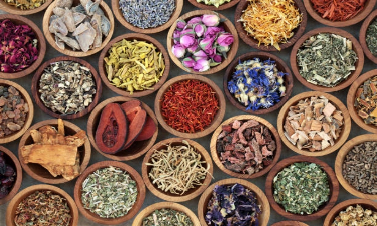 When Is the Best Time to Incorporate Plant Protein Extracts Into Your Diet?