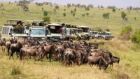 What Is Included in a Tanzania Safari Package?