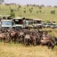 What Is Included in a Tanzania Safari Package?