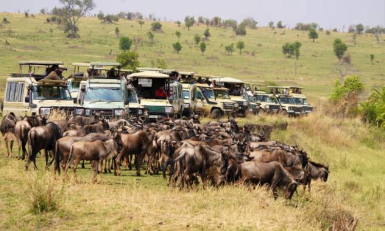 What Is Included in a Tanzania Safari Package?