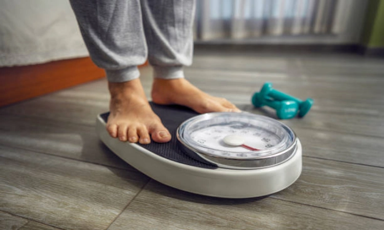 Which Ingredients in Weight Loss Gummies Burn Fat Naturally?